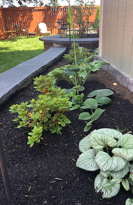 Big Island Maintenance landscaping